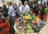 Fruit Attraction en cifras: 2.500 empresas expositoras de 78 países en 162.000 metros cuadrados Fruit Attraction en cifras: 2.500 empresas expositoras de 78 países en 162.000 metros cuadrados