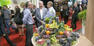 Fruit Attraction en cifras: 2.500 empresas expositoras de 78 países en 162.000 metros cuadrados Fruit Attraction en cifras: 2.500 empresas expositoras de 78 países en 162.000 metros cuadrados