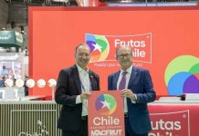 Frutas de Chile presenta imagen oficial como “País Invitado de Honor” para Macfrut 2027 Frutas de Chile presenta imagen oficial como “País Invitado de Honor” para Macfrut 2027