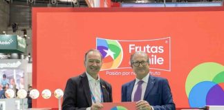 Frutas de Chile presenta imagen oficial como “País Invitado de Honor” para Macfrut 2027 Frutas de Chile presenta imagen oficial como “País Invitado de Honor” para Macfrut 2027