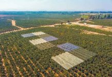 Fruticultura protegida: nuevas publicaciones entregan herramientas para enfrentar la variabilidad climática Fruticultura protegida: nuevas publicaciones entregan herramientas para enfrentar la variabilidad climática