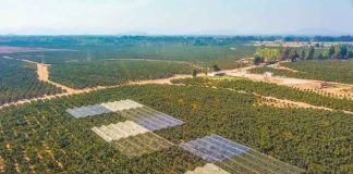 Fruticultura protegida: nuevas publicaciones entregan herramientas para enfrentar la variabilidad climática Fruticultura protegida: nuevas publicaciones entregan herramientas para enfrentar la variabilidad climática