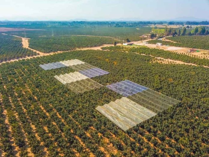 Fruticultura protegida nuevas publicaciones entregan herramientas para enfrentar la variabilidad climática Fruticultura protegida: nuevas publicaciones entregan herramientas para enfrentar la variabilidad climática