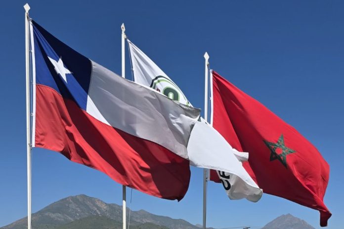 Unión agrícola chileno-marroquí: Frutivar: Grupo Hijuelas y Les Domaines Agricoles presentan nueva plataforma para el desarrollo de plantas en Marruecos