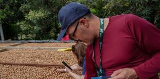 Ñuble apuesta por la macadamia: agricultores conocieron en Guatemala su cultivo y procesamiento Ñuble apuesta por la macadamia: agricultores conocieron en Guatemala su cultivo y procesamiento