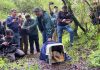 Güiña vuelve a su hábitat tras ser rehabilitado en Centro de Rescate de Hacienda Cauquenes Güiña vuelve a su hábitat tras ser rehabilitado en Centro de Rescate de Hacienda Cauquenes