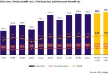 Hedgepoint prevé una cosecha récord de maíz en Brasil en 2026/27