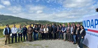 INDAP Ñuble inició Semana de Negocios para la Agricultura Familiar Campesina con importadores internacionales INDAP Ñuble inició Semana de Negocios para la Agricultura Familiar Campesina con importadores internacionales