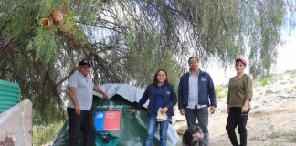 INDAP continúa apoyando a crianceros afectados por temporales en Atacama