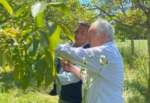 INDAP despliega operativo en terreno en Maule para evaluar daños por temporal y coordinar apoyo a agricultores INDAP despliega operativo en terreno en Maule para evaluar daños por temporal y coordinar apoyo a agricultores