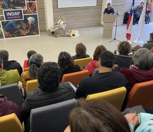INDAP lanza en Los Lagos nuevo modelo de apoyo productivo para las mujeres rurales INDAP lanza en Los Lagos nuevo modelo de apoyo productivo para las mujeres rurales