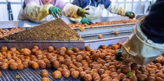 Industria de la nuez llega al inicio de primavera con un 70% de la fruta embarcada y pone el foco en la nueva temporada Industria de la nuez llega al inicio de primavera con un 70% de la fruta embarcada y pone el foco en la nueva temporada