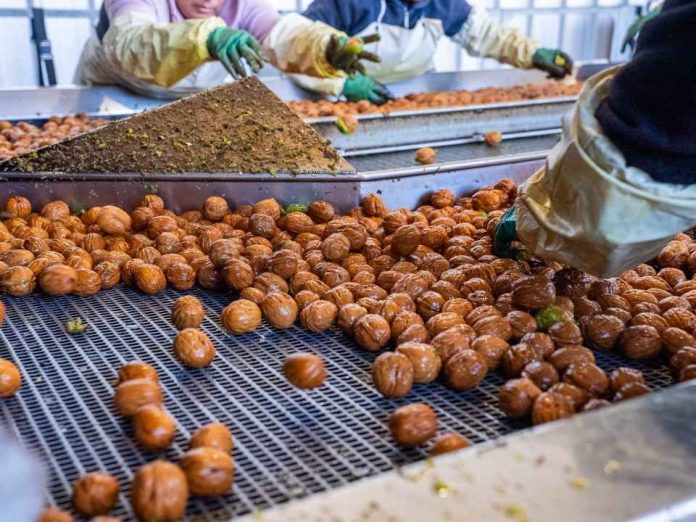 Industria de la nuez llega al inicio de primavera con un 70% de la fruta embarcada y pone el foco en la nueva temporada Industria de la nuez llega al inicio de primavera con un 70% de la fruta embarcada y pone el foco en la nueva temporada