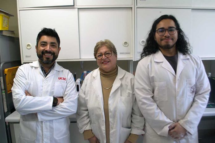 Investigación UCSC, solventes eutécticos profundos naturales (NADES) Reportaje | Investigación UCSC avanza en uso de solventes verdes para recuperar y preservar antioxidantes desde hojas de olivo