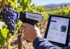 Investigadores de CITRA UTalca crean tecnología que detecta madurez de la uva en segundos Investigadores de CITRA UTalca crean tecnología que detecta madurez de la uva en segundos
