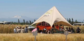 Investigadores de INIA Quilamapu preparan masiva Jornada Agrotecnológica para agricultores del centro-sur Investigadores de INIA Quilamapu preparan masiva Jornada Agrotecnológica para agricultores del centro-sur