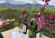 La actividad enoturística que invita a descubrir el rol de las flores en una viticultura sostenible en el Valle de Colchagua La actividad enoturística que invita a descubrir el rol de las flores en una viticultura sostenible en el Valle de Colchagua