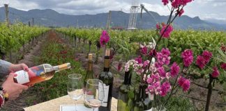 La actividad enoturística que invita a descubrir el rol de las flores en una viticultura sostenible en el Valle de Colchagua La actividad enoturística que invita a descubrir el rol de las flores en una viticultura sostenible en el Valle de Colchagua