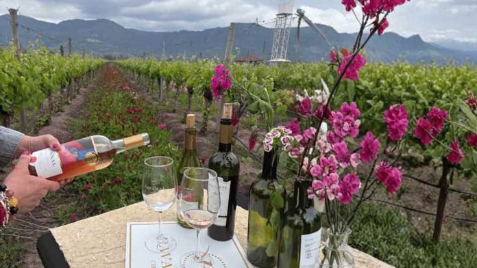 La actividad enoturística que invita a descubrir el rol de las flores en una viticultura sostenible en el Valle de Colchagua La actividad enoturística que invita a descubrir el rol de las flores en una viticultura sostenible en el Valle de Colchagua