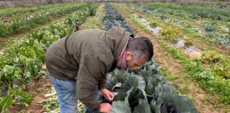 La agricultura española sigue actuando contra el cambio climático en un contexto más complejo