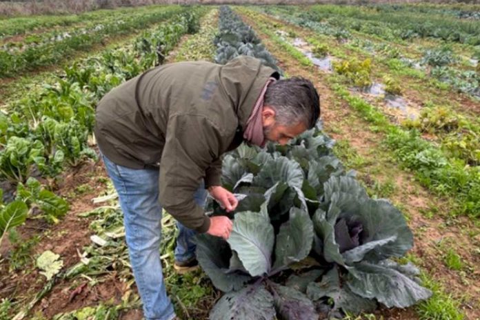 La agricultura española sigue actuando contra el cambio climático en un contexto más complejo La agricultura española sigue actuando contra el cambio climático en un contexto más complejo