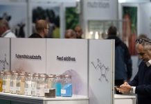 La alimentación animal impulsa la eficiencia y la sostenibilidad en EuroTier 2026 La alimentación animal impulsa la eficiencia y la sostenibilidad en EuroTier 2026