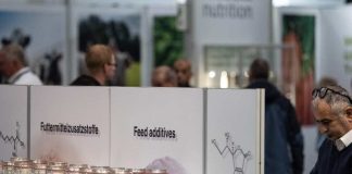 La alimentación animal impulsa la eficiencia y la sostenibilidad en EuroTier 2026