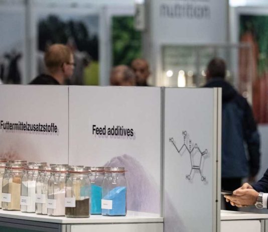 La alimentación animal impulsa la eficiencia y la sostenibilidad en EuroTier 2026 La alimentación animal impulsa la eficiencia y la sostenibilidad en EuroTier 2026