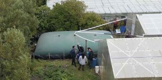 Noticia: Reportaje | La apuesta de agricultores magallánicos apoyados por INDAP para...