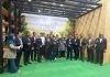 Malasia apuesta por la piña SG1 – Sarawak Gold para abrirse paso en el mercado europeo Malasia apuesta por la piña SG1 – Sarawak Gold para abrirse paso en el mercado europeo