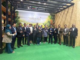 Malasia apuesta por la piña SG1 – Sarawak Gold para abrirse paso en el mercado europeo