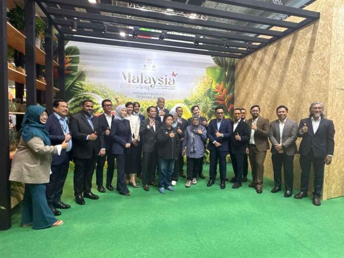 Malasia apuesta por la piña SG1 – Sarawak Gold para abrirse paso en el mercado europeo Malasia apuesta por la piña SG1 – Sarawak Gold para abrirse paso en el mercado europeo
