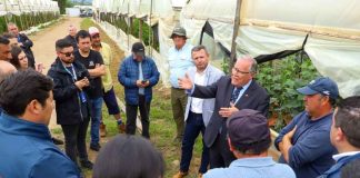 Minagri declara emergencia agrícola en 14 comunas de la Región del Maule por daños que dejó sistema frontal Minagri declara emergencia agrícola en 14 comunas de la Región del Maule por daños que dejó sistema frontal