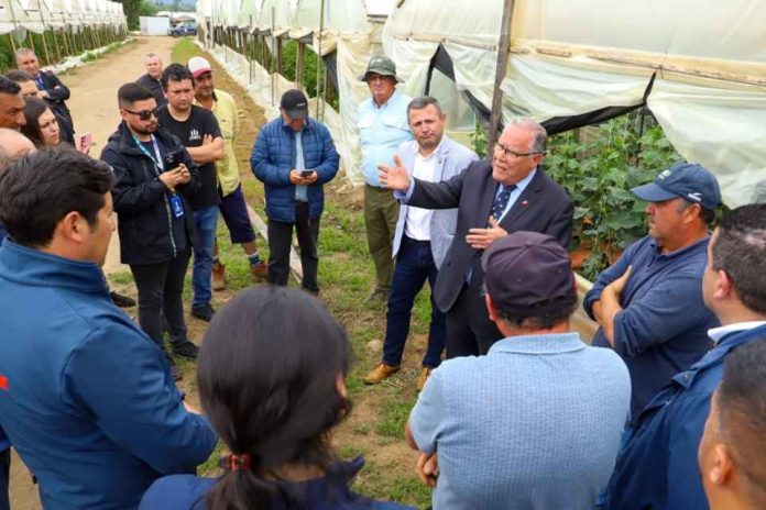 Minagri declara emergencia agrícola en 14 comunas de la Región del Maule por daños que dejó sistema frontal Minagri declara emergencia agrícola en 14 comunas de la Región del Maule por daños que dejó sistema frontal