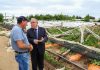 Ministerio de Agricultura declara emergencia agrícola en 14 comunas de la Región del Maule por daños ocasionados por sistema frontal Ministerio de Agricultura declara emergencia agrícola en 14 comunas de la Región del Maule por daños ocasionados por sistema frontal