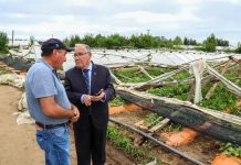 Ministerio de Agricultura declara emergencia agrícola en 14 comunas de la Región del Maule por daños ocasionados por sistema frontal Ministerio de Agricultura declara emergencia agrícola en 14 comunas de la Región del Maule por daños ocasionados por sistema frontal
