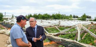 Ministerio de Agricultura declara emergencia agrícola en 14 comunas de la Región del Maule por daños ocasionados por sistema frontal Ministerio de Agricultura declara emergencia agrícola en 14 comunas de la Región del Maule por daños ocasionados por sistema frontal