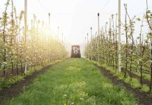 Ñuble apuesta por modernizar su agroindustria con 16 nuevos proyectos de inversión Ñuble apuesta por modernizar su agroindustria con 16 nuevos proyectos de inversión