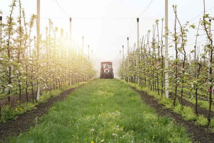 Ñuble apuesta por modernizar su agroindustria con 16 nuevos proyectos de inversión