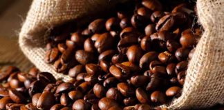 Oferta de café sigue sujeta a riesgos climáticos, apunta Hedgepoint Oferta de café sigue sujeta a riesgos climáticos, apunta Hedgepoint