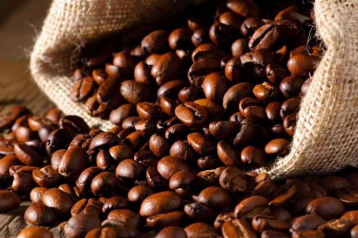 Oferta de café sigue sujeta a riesgos climáticos, apunta Hedgepoint Oferta de café sigue sujeta a riesgos climáticos, apunta Hedgepoint