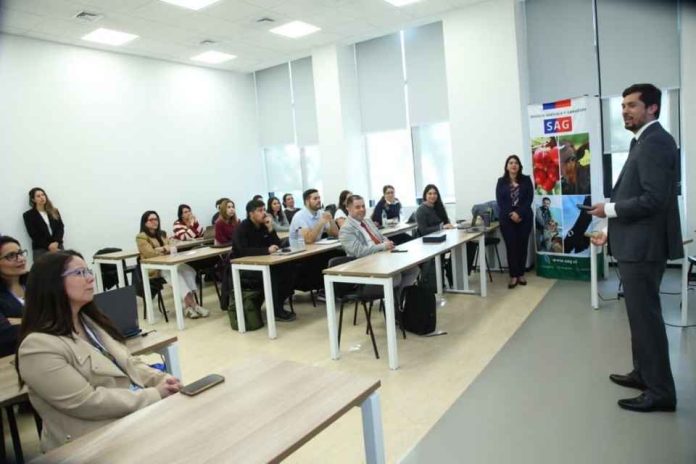 PANAFTOSA fortalece las capacidades de profesionales del servicio veterinario oficial de Chile en epidemiología aplicada PANAFTOSA fortalece las capacidades de profesionales del servicio veterinario oficial de Chile en epidemiología aplicada