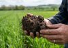 Reportaje | Perder Carbono del Suelo: el costo invisible del Calentamiento Agrícola y la pérdida de Inteligencia Biológica Perder Carbono del Suelo: el costo invisible del Calentamiento Agrícola y la pérdida de Inteligencia Biológica, Terragénesis