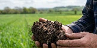 Noticia: ​Reportaje | Perder Carbono del Suelo: el costo invisible del Calentamiento...