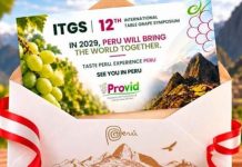Perú será sede del 12.º Simposio Internacional de Uva de Mesa en 2029 Perú será sede del 12.º Simposio Internacional de Uva de Mesa en 2029