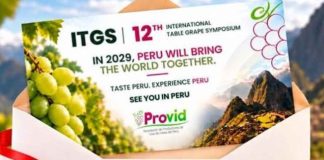 Perú será sede del 12.º Simposio Internacional de Uva de Mesa en 2029 Perú será sede del 12.º Simposio Internacional de Uva de Mesa en 2029