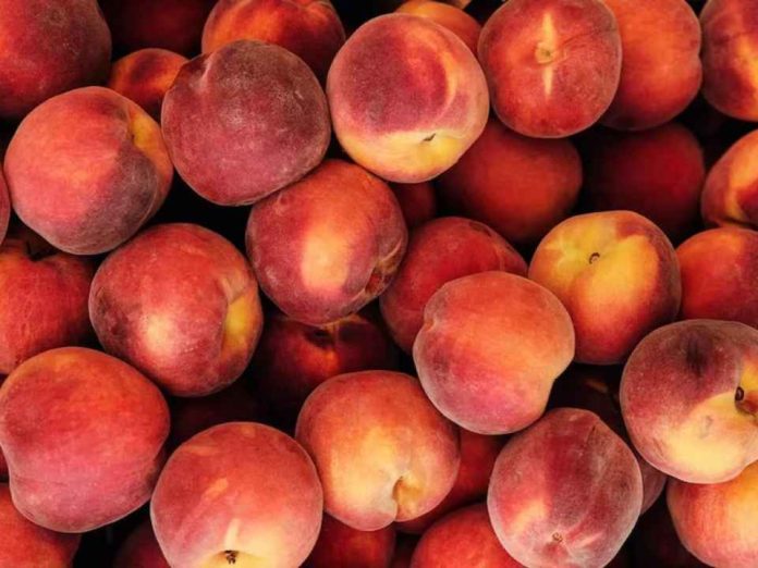 Perú suspende la venta y uso de glifosato y otros cuatro plaguicidas en alimentos vegetales tras fallo del TC Perú suspende la venta y uso de glifosato y otros cuatro plaguicidas en alimentos vegetales tras fallo del TC