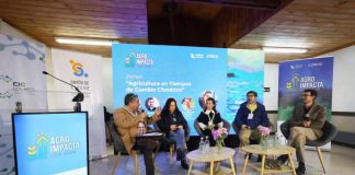 ¿Por qué una buena tecnología no siempre funciona en el campo? El desafío que abordará AgroImpacta en Los Ríos 