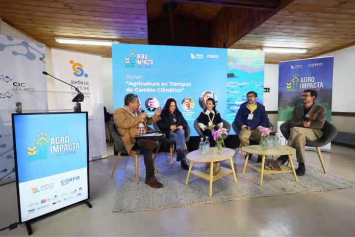 ¿Por qué una buena tecnología no siempre funciona en el campo? El desafío que abordará AgroImpacta en Los Ríos ¿Por qué una buena tecnología no siempre funciona en el campo? El desafío que abordará AgroImpacta en Los Ríos