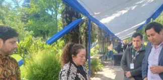 Producción de antioxidantes naturales a partir de legumbres locales para conservar alimentos Producción de antioxidantes naturales a partir de legumbres locales para conservar alimentos